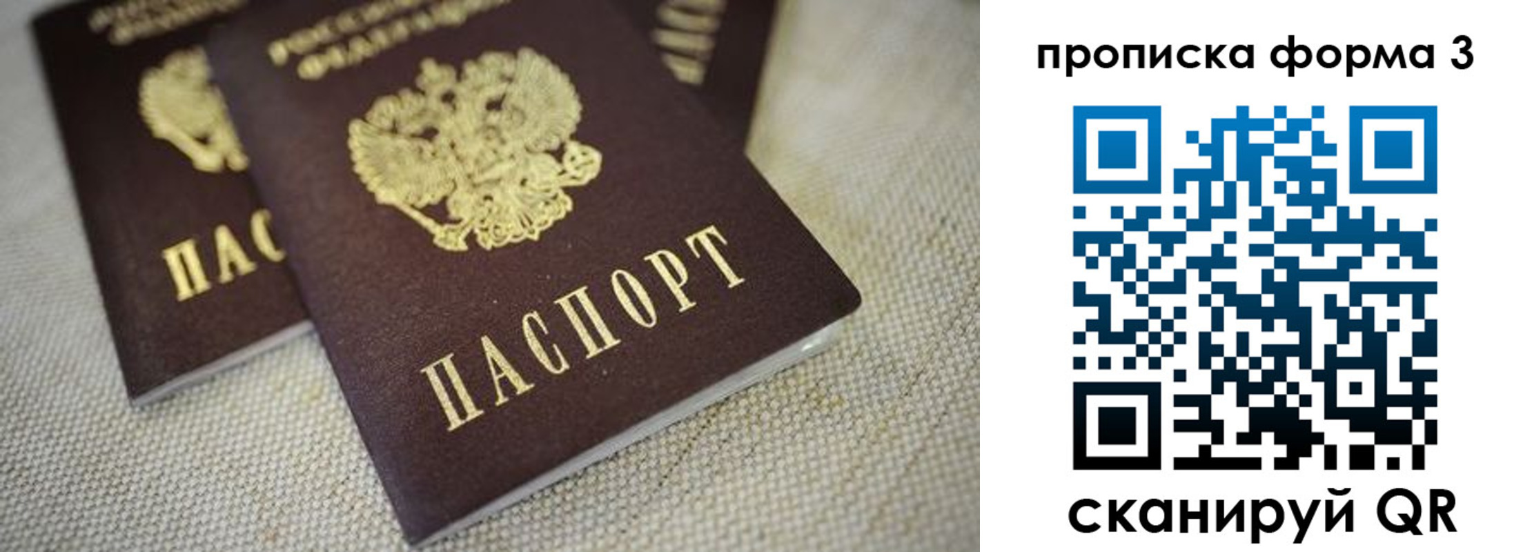 прописка поиск в Красноармейске